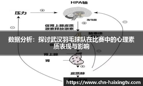 数据分析：探讨武汉羽毛球队在比赛中的心理素质表现与影响