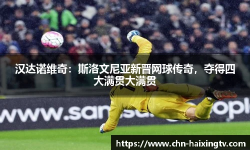汉达诺维奇：斯洛文尼亚新晋网球传奇，夺得四大满贯大满贯