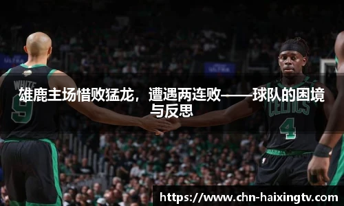 雄鹿主场惜败猛龙，遭遇两连败——球队的困境与反思