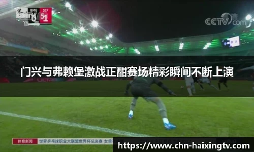 门兴与弗赖堡激战正酣赛场精彩瞬间不断上演