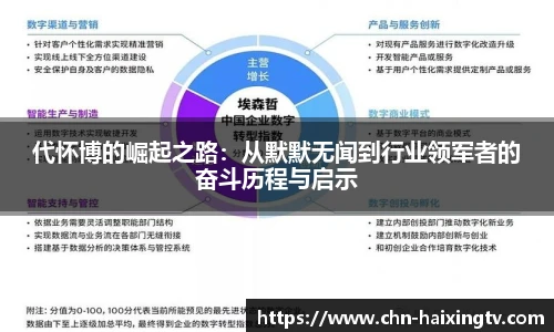 海星体育